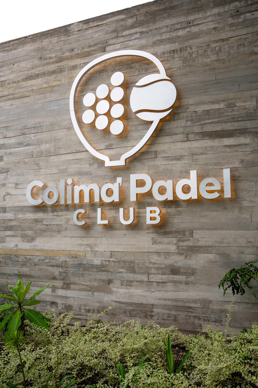 leetx-google-photo-50590-8 leetx-google-photo-50590-8