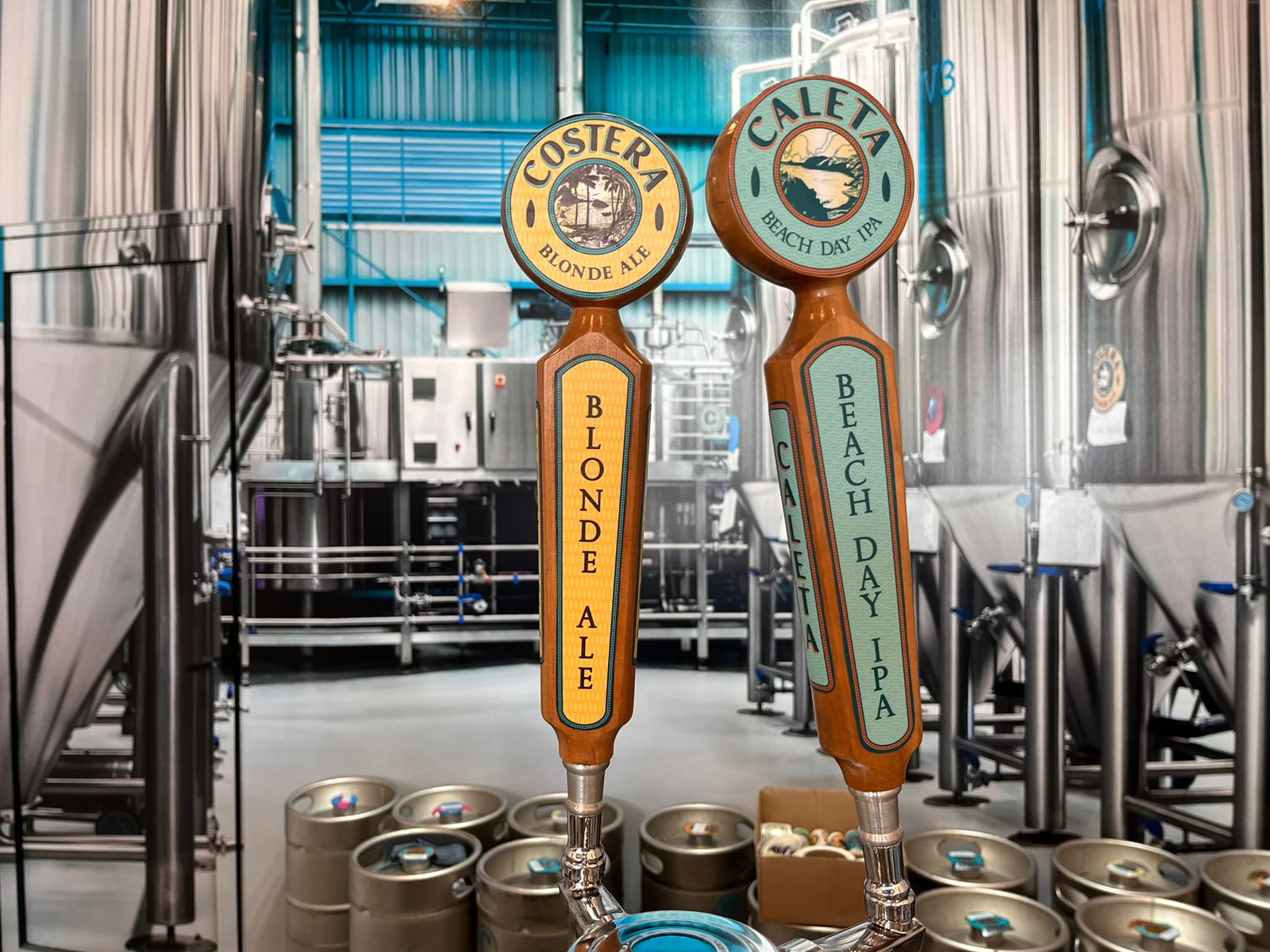 leetx-google-photo-50786-5 leetx-google-photo-50786-5