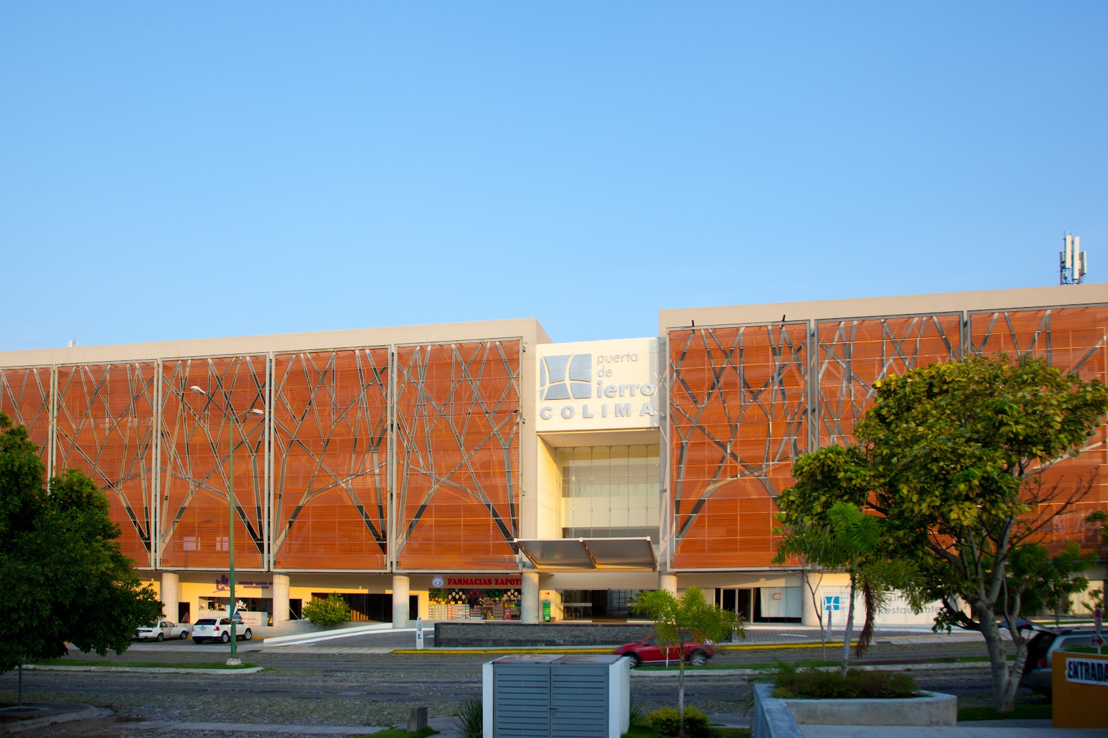 leetx-google-photo-50878-5 leetx-google-photo-50878-5