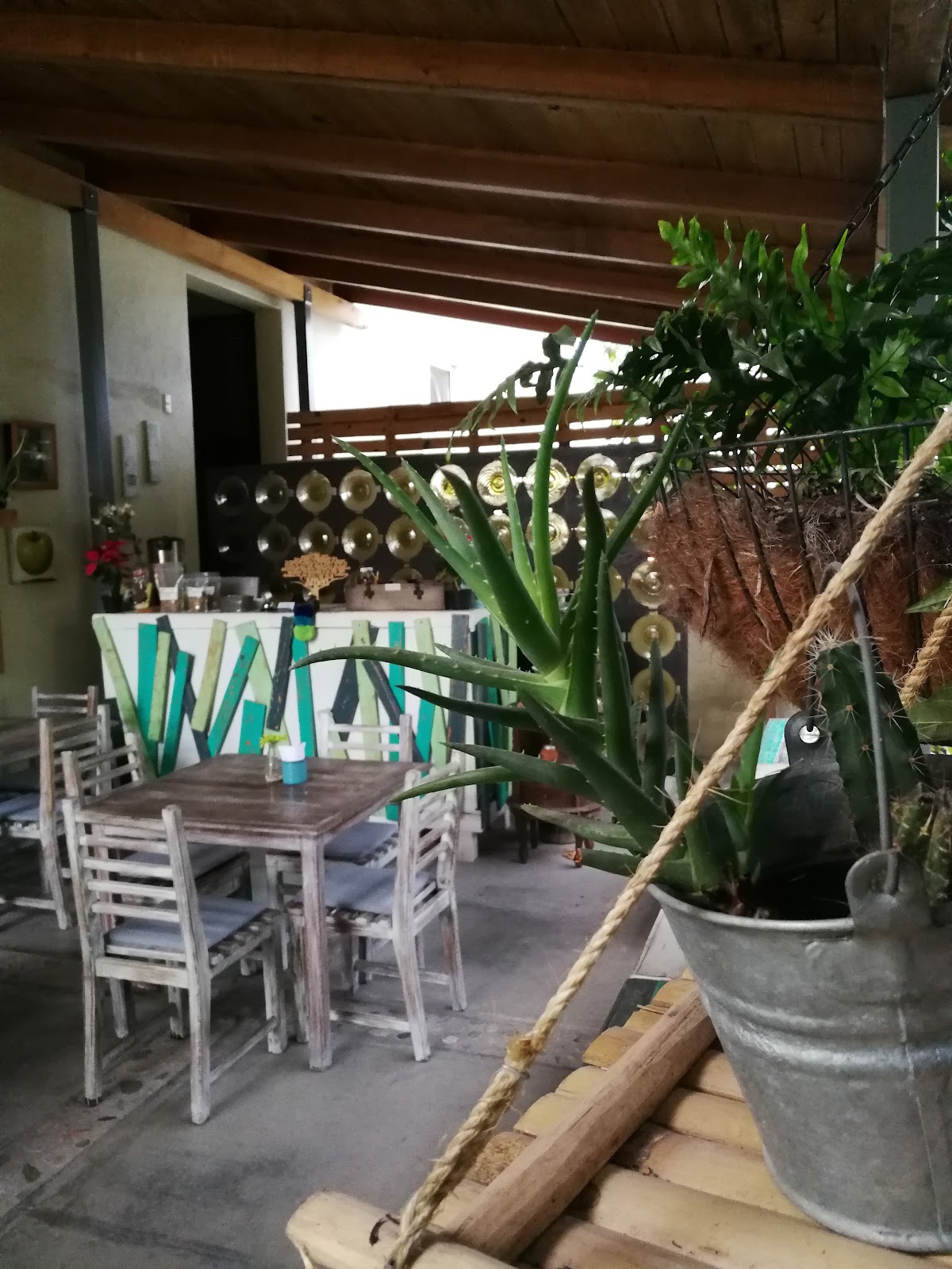 leetx-google-photo-50956-2 leetx-google-photo-50956-2