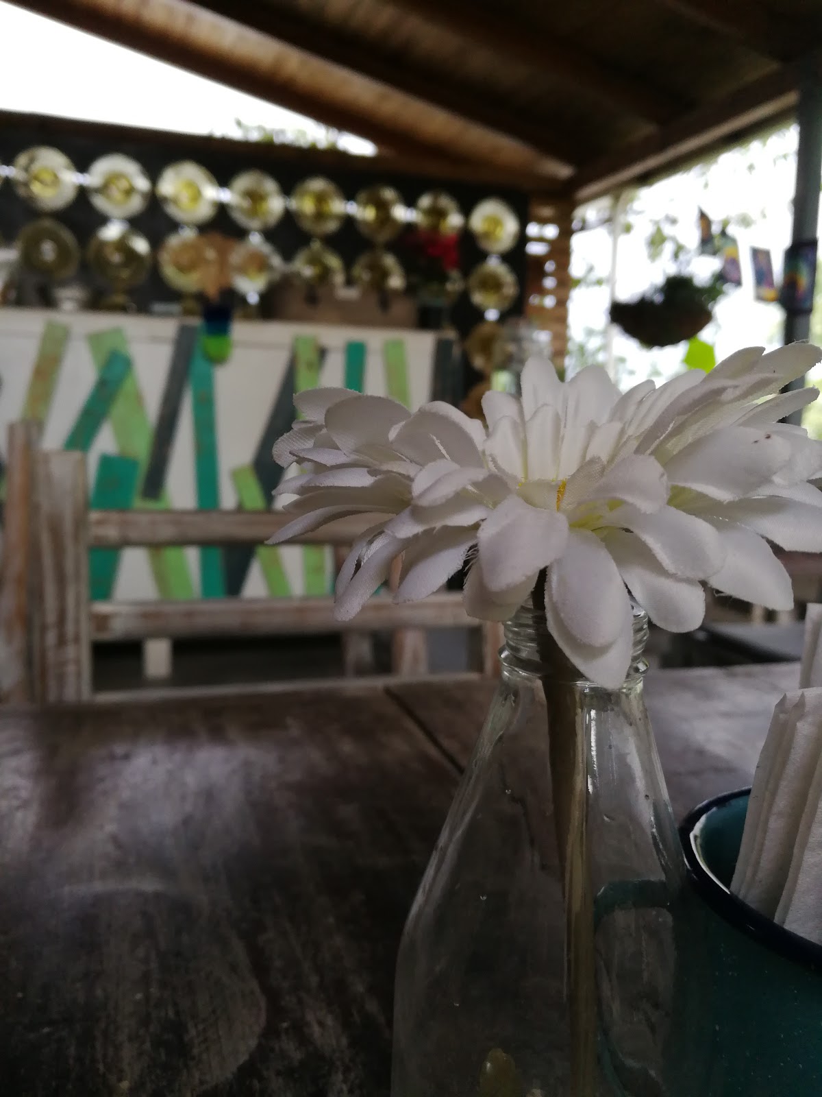 leetx-google-photo-50956-3 leetx-google-photo-50956-3