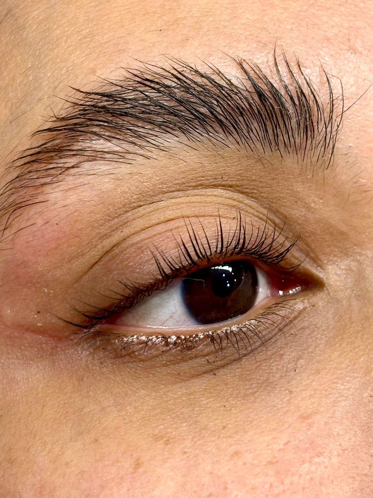 leetx-google-photo-51006-3 leetx-google-photo-51006-3