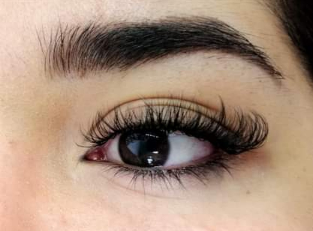 leetx-google-photo-51069-3 leetx-google-photo-51069-3