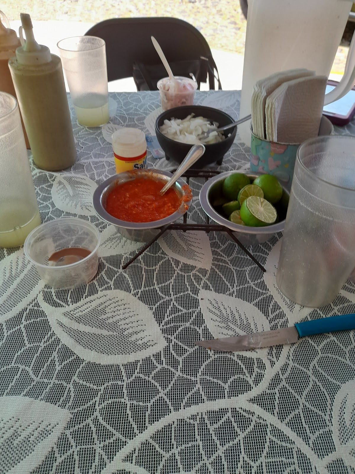 leetx-google-photo-51156-8 leetx-google-photo-51156-8