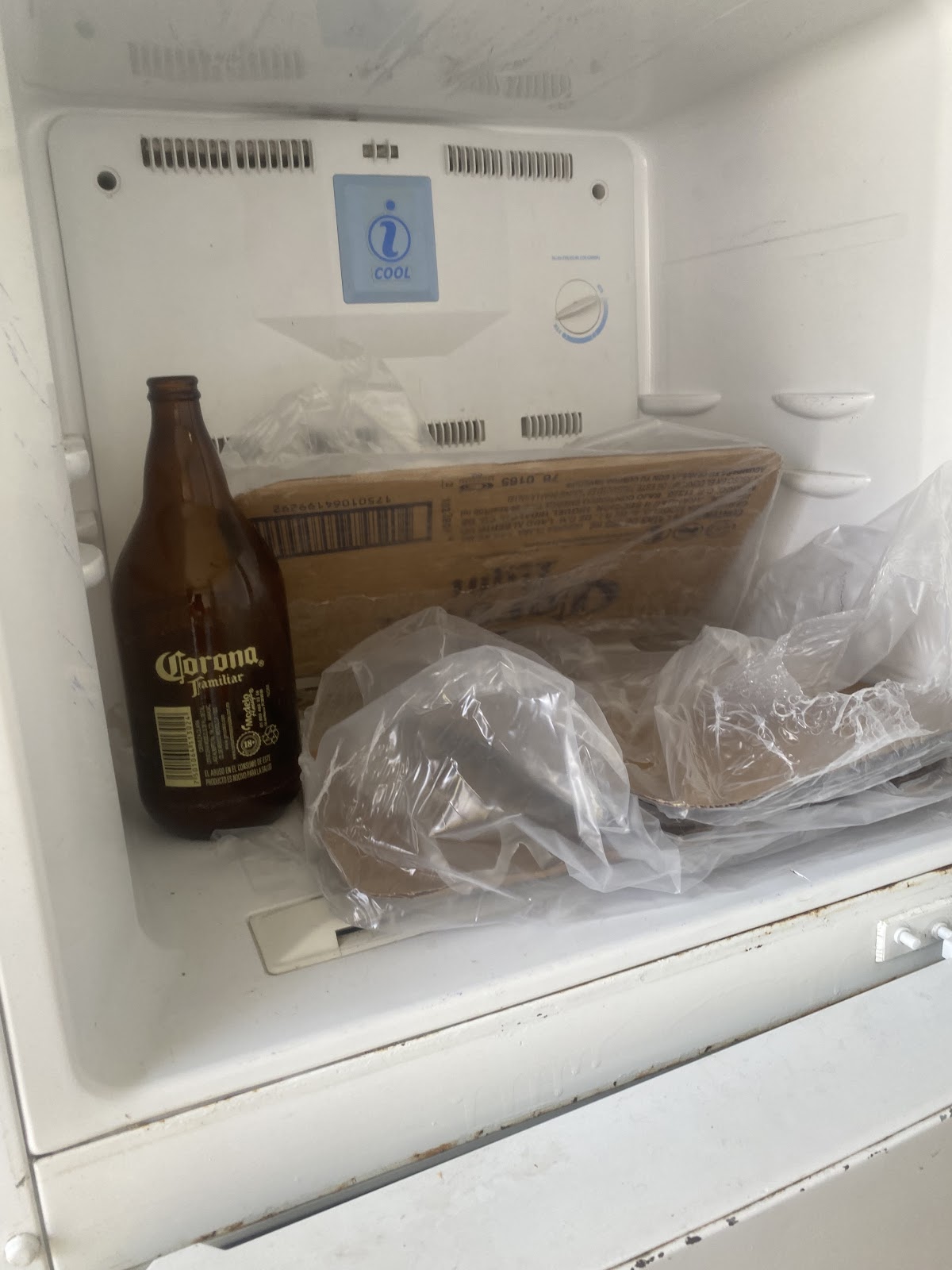 leetx-google-photo-51192-7 leetx-google-photo-51192-7