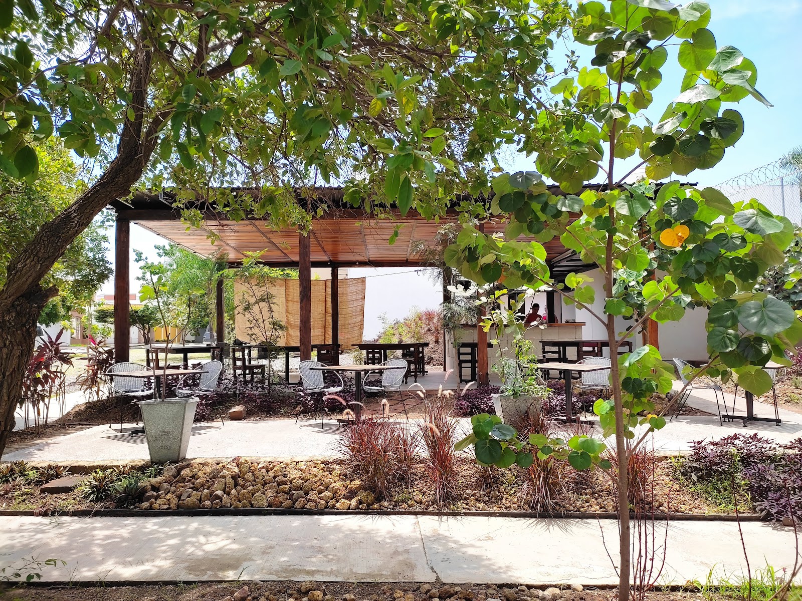 leetx-google-photo-51201-6 leetx-google-photo-51201-6