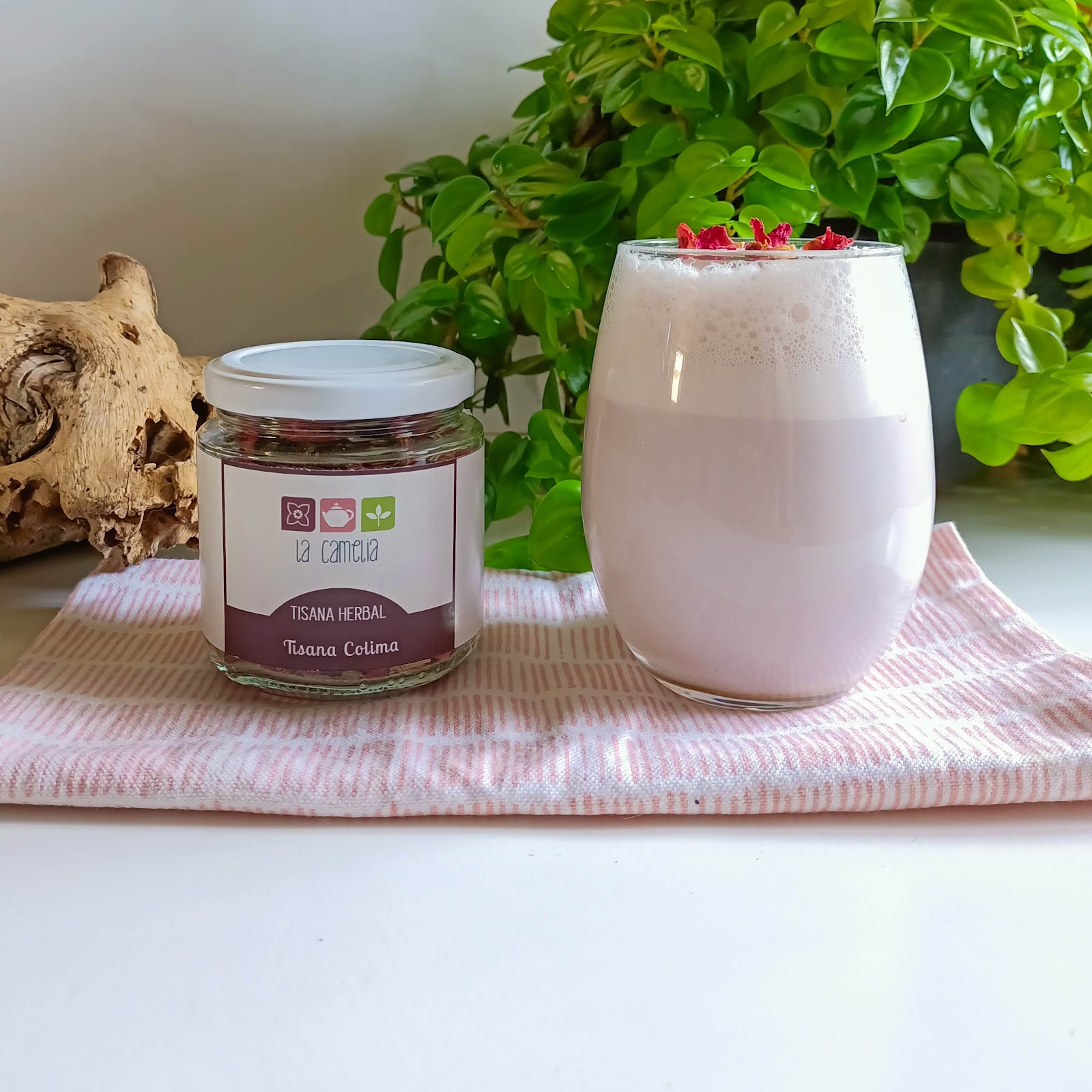 leetx-google-photo-51219-4 leetx-google-photo-51219-4