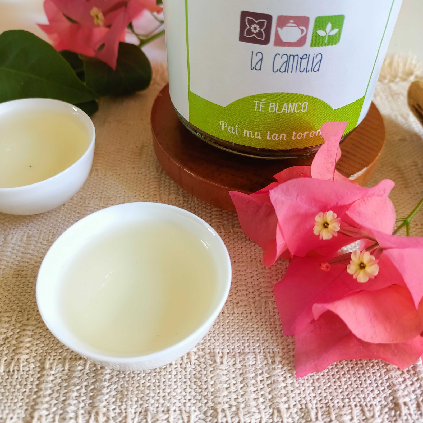 leetx-google-photo-51219-7 leetx-google-photo-51219-7