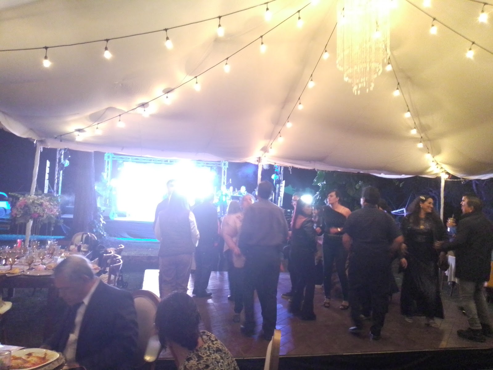 leetx-google-photo-51245-5 leetx-google-photo-51245-5