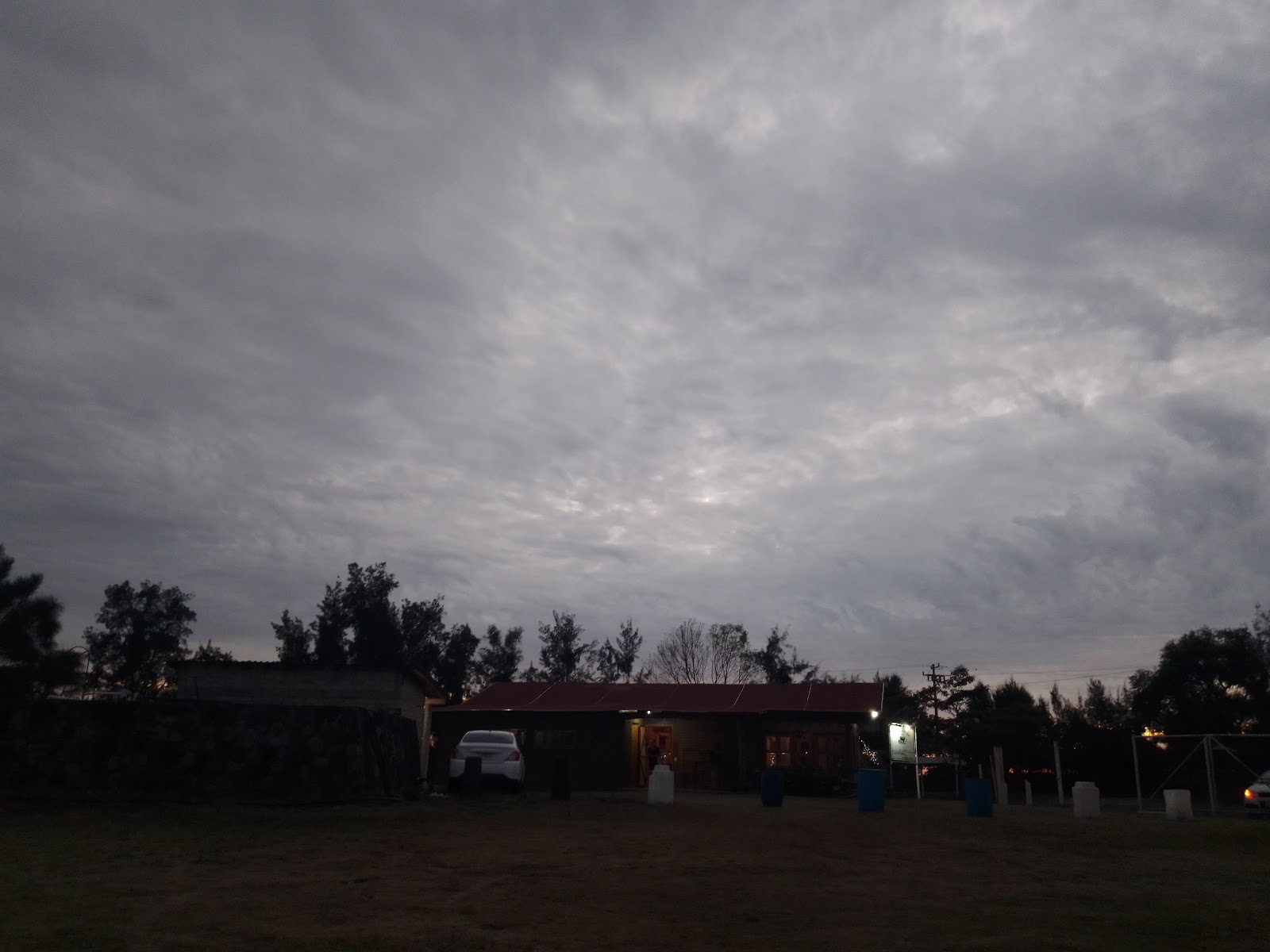 leetx-google-photo-51245-6 leetx-google-photo-51245-6