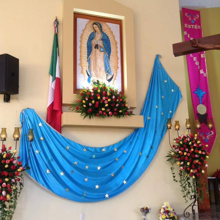 leetx-google-photo-51254-3 leetx-google-photo-51254-3