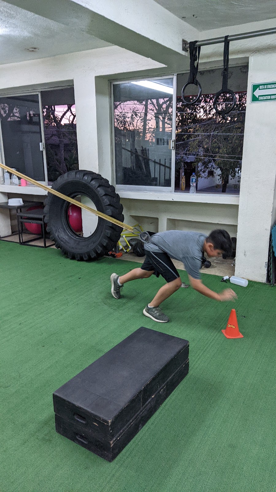 leetx-google-photo-51273-5 leetx-google-photo-51273-5