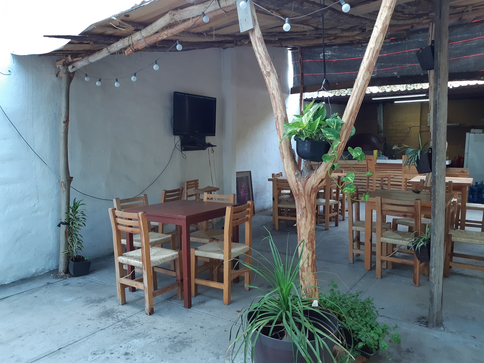 leetx-google-photo-51336-5 leetx-google-photo-51336-5