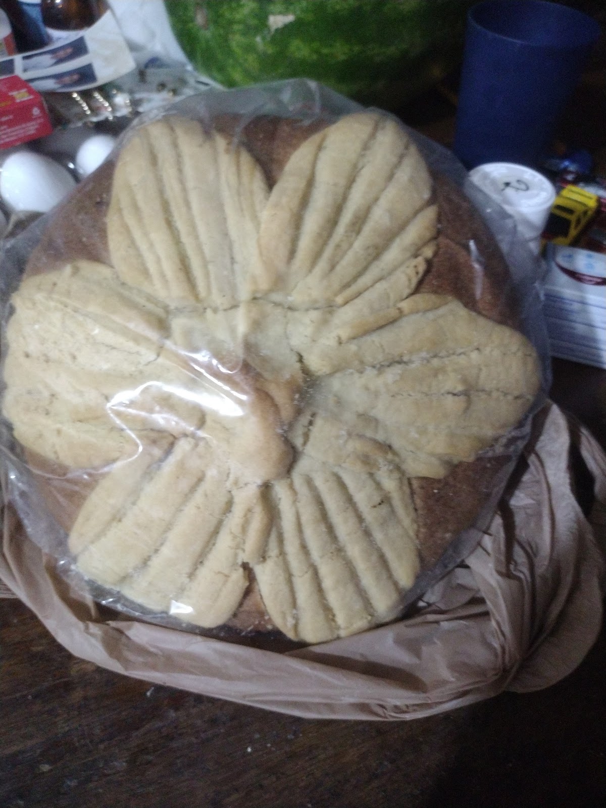 leetx-google-photo-51488-3 leetx-google-photo-51488-3