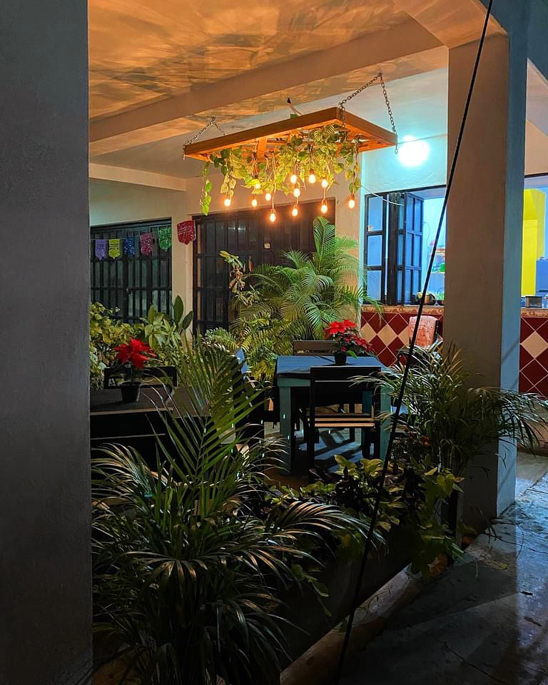 leetx-google-photo-51671-2 leetx-google-photo-51671-2