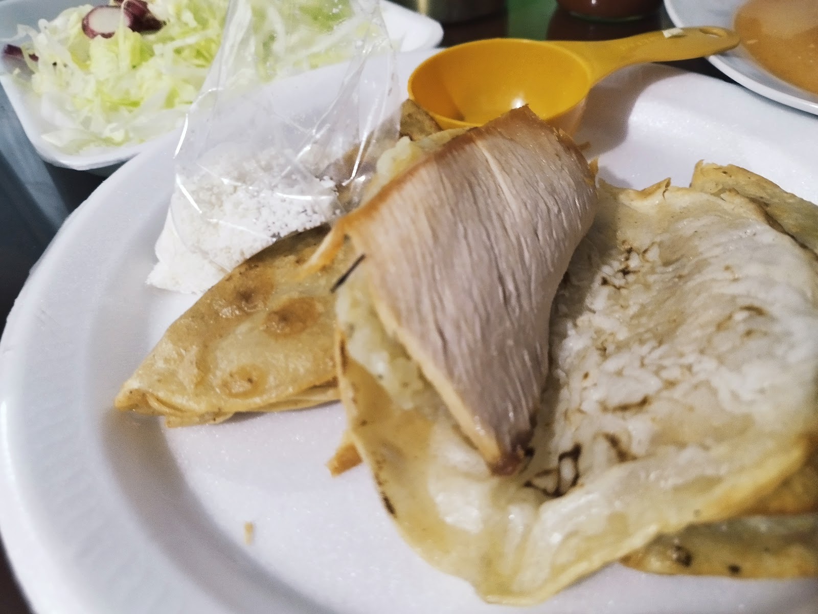 leetx-google-photo-51730-6 leetx-google-photo-51730-6