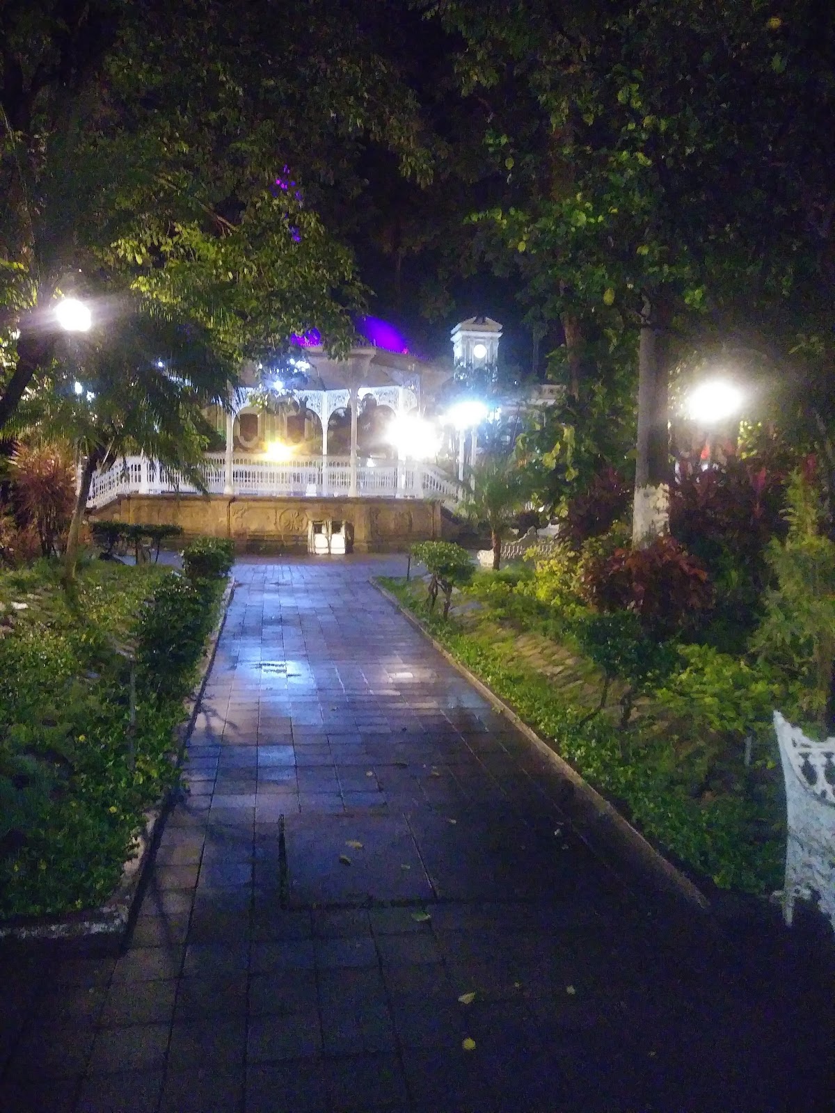 leetx-google-photo-51886-8 leetx-google-photo-51886-8