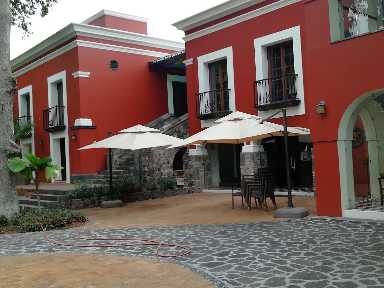 leetx-google-photo-51913-3 leetx-google-photo-51913-3