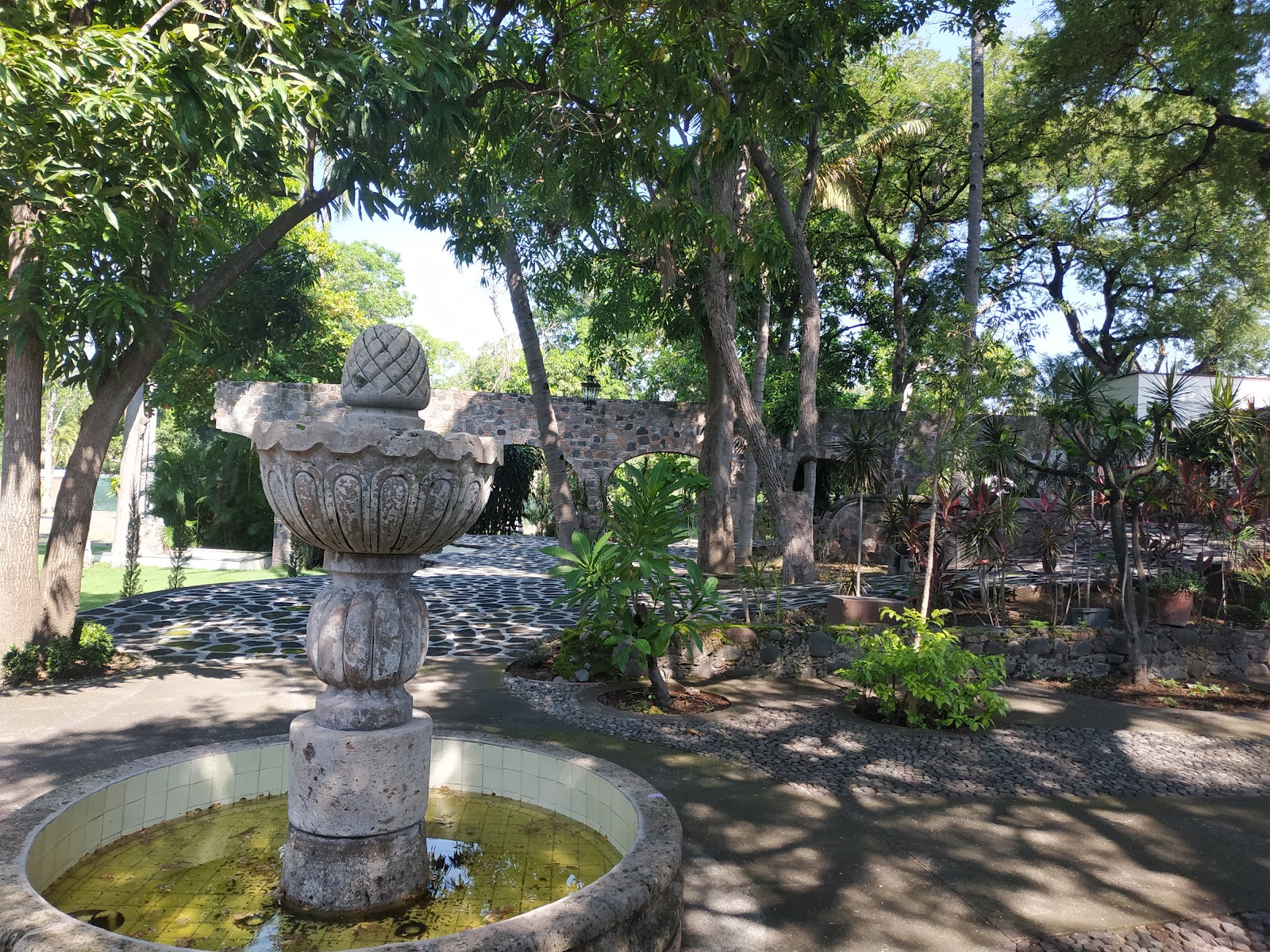 leetx-google-photo-51913-8 leetx-google-photo-51913-8