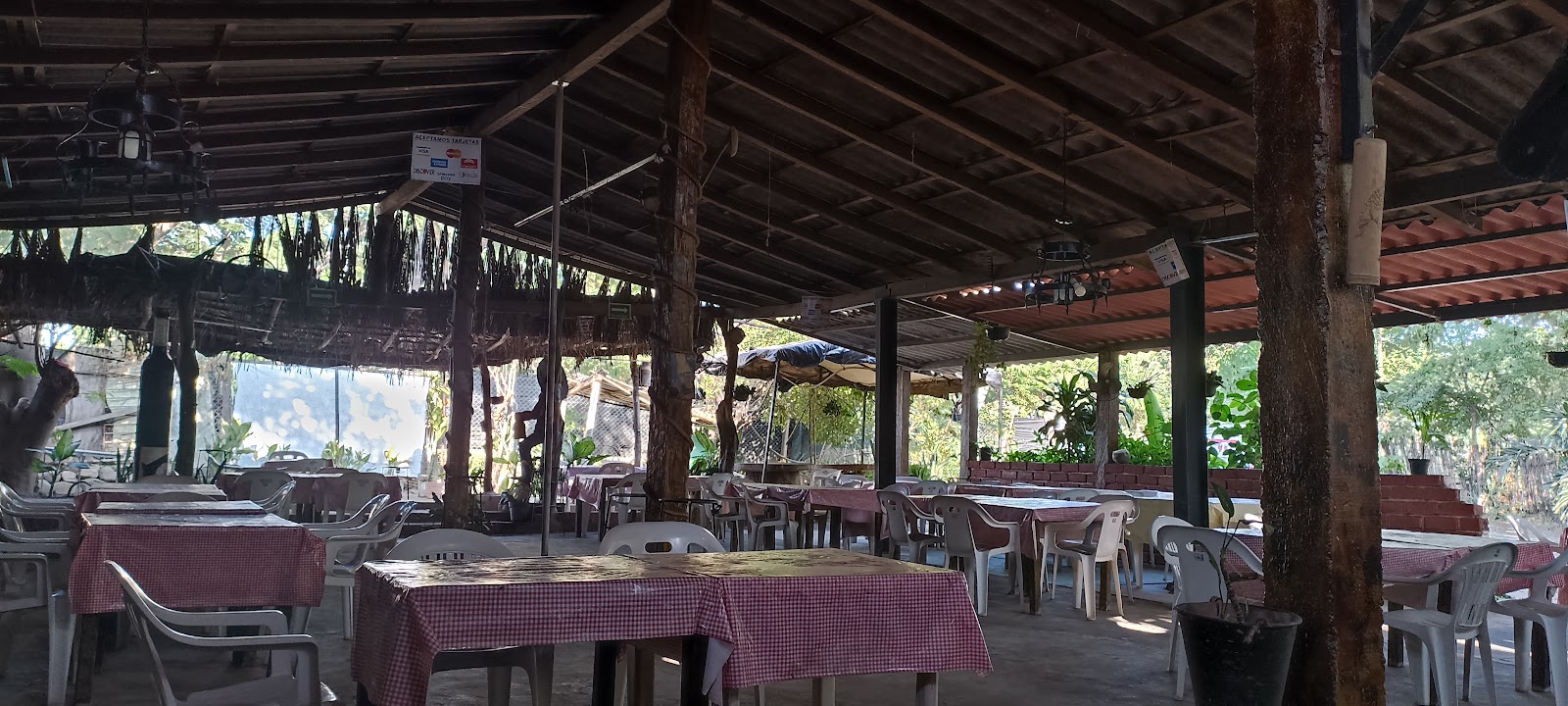 leetx-google-photo-51931-5 leetx-google-photo-51931-5