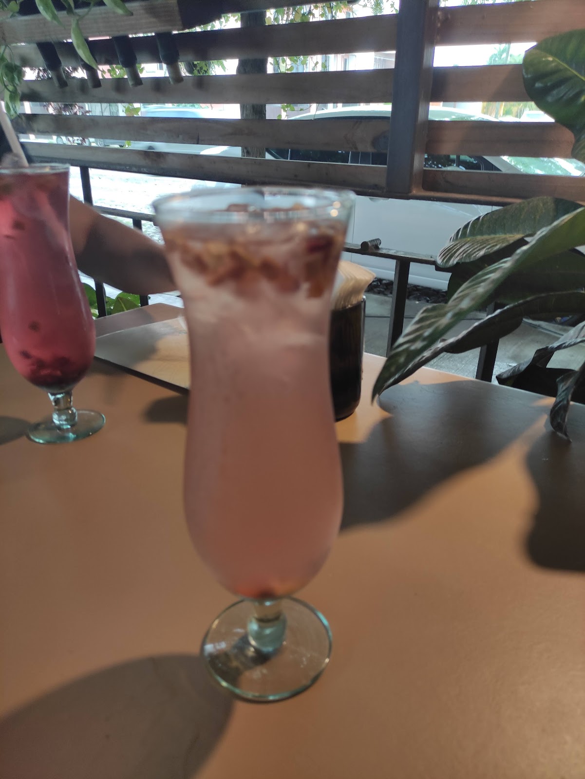 leetx-google-photo-52010-7 leetx-google-photo-52010-7