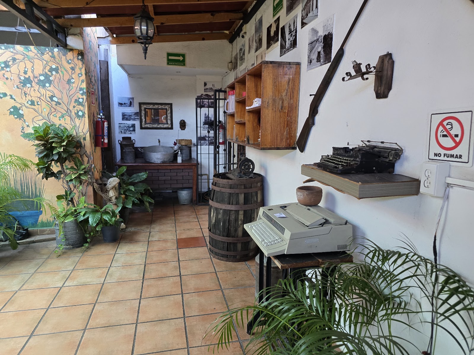 leetx-google-photo-52251-8 leetx-google-photo-52251-8