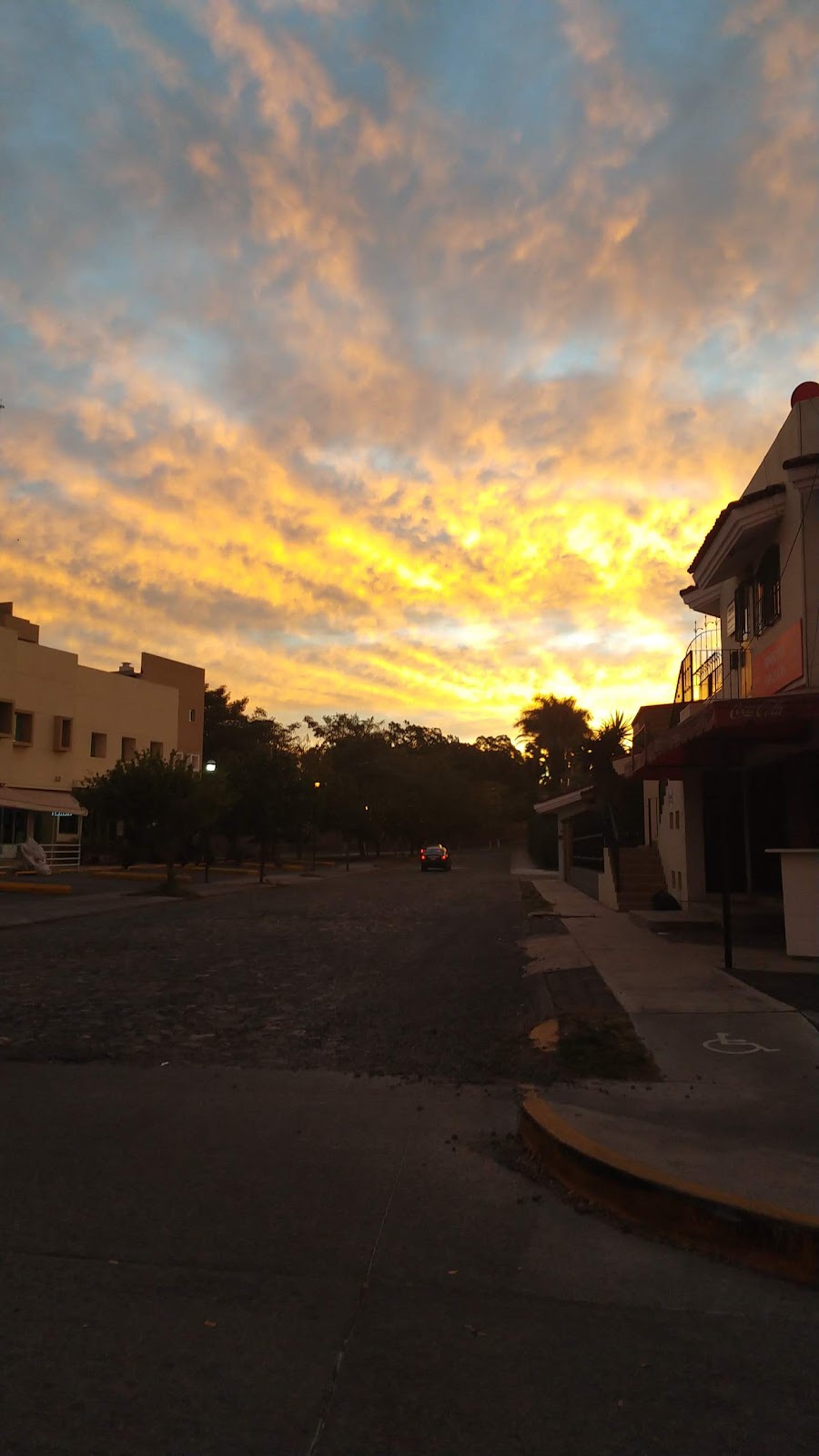 leetx-google-photo-52384-8 leetx-google-photo-52384-8