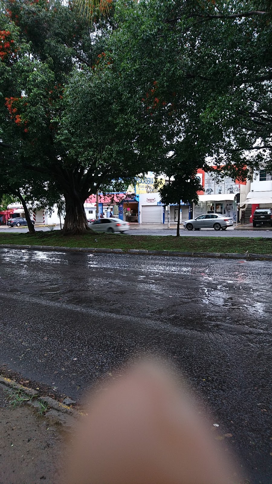 leetx-google-photo-52831-4 leetx-google-photo-52831-4