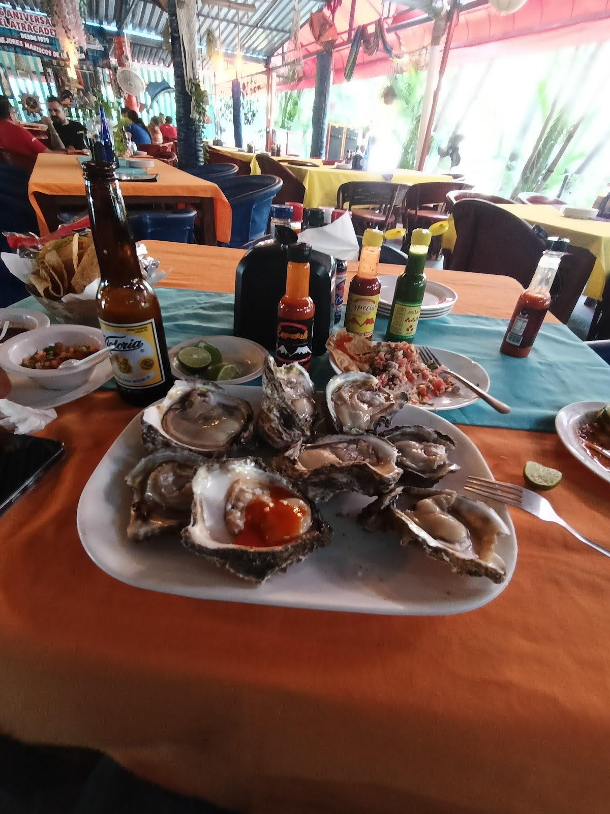 leetx-google-photo-52881-3 leetx-google-photo-52881-3