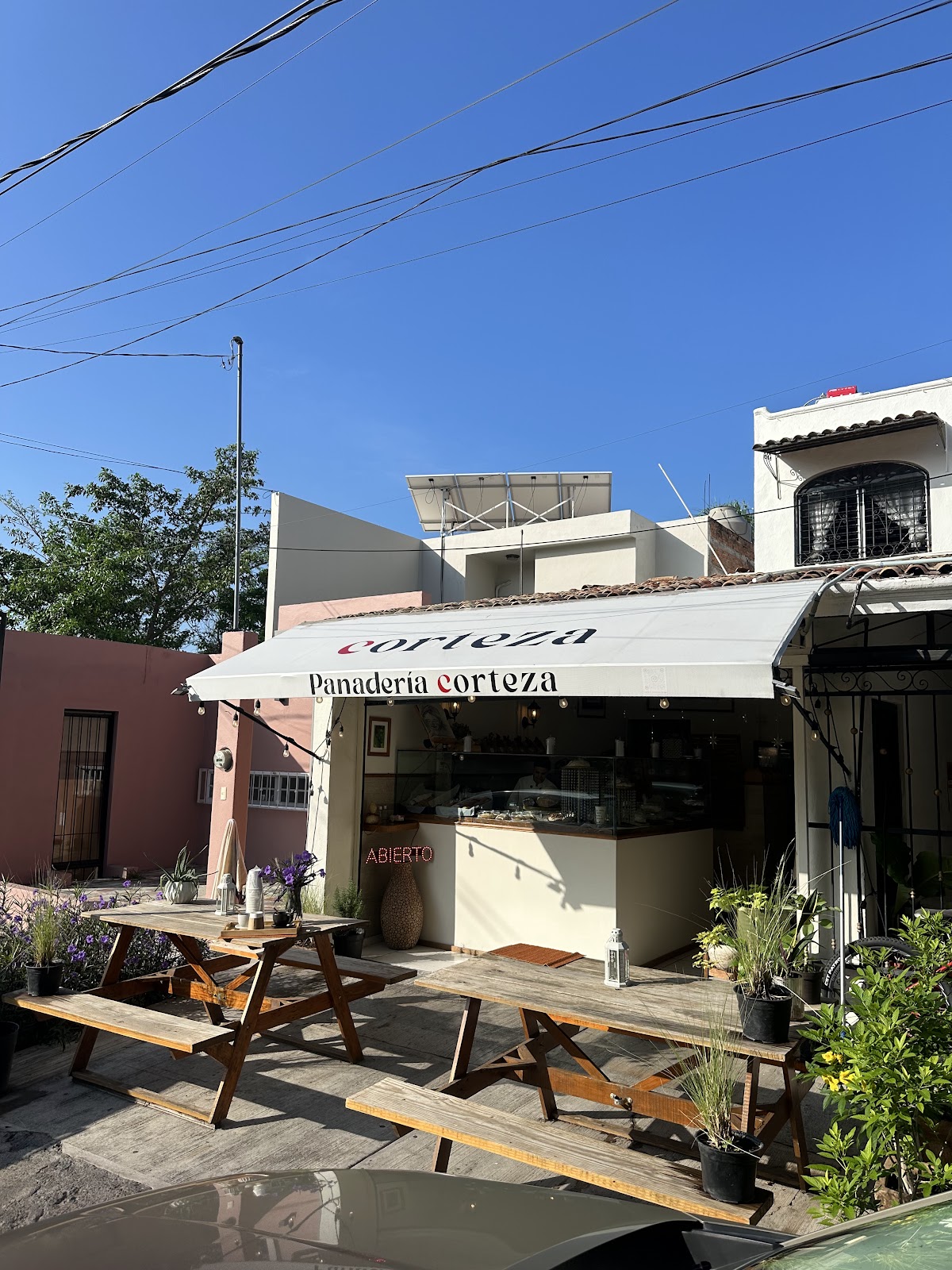 leetx-google-photo-53293-8 leetx-google-photo-53293-8