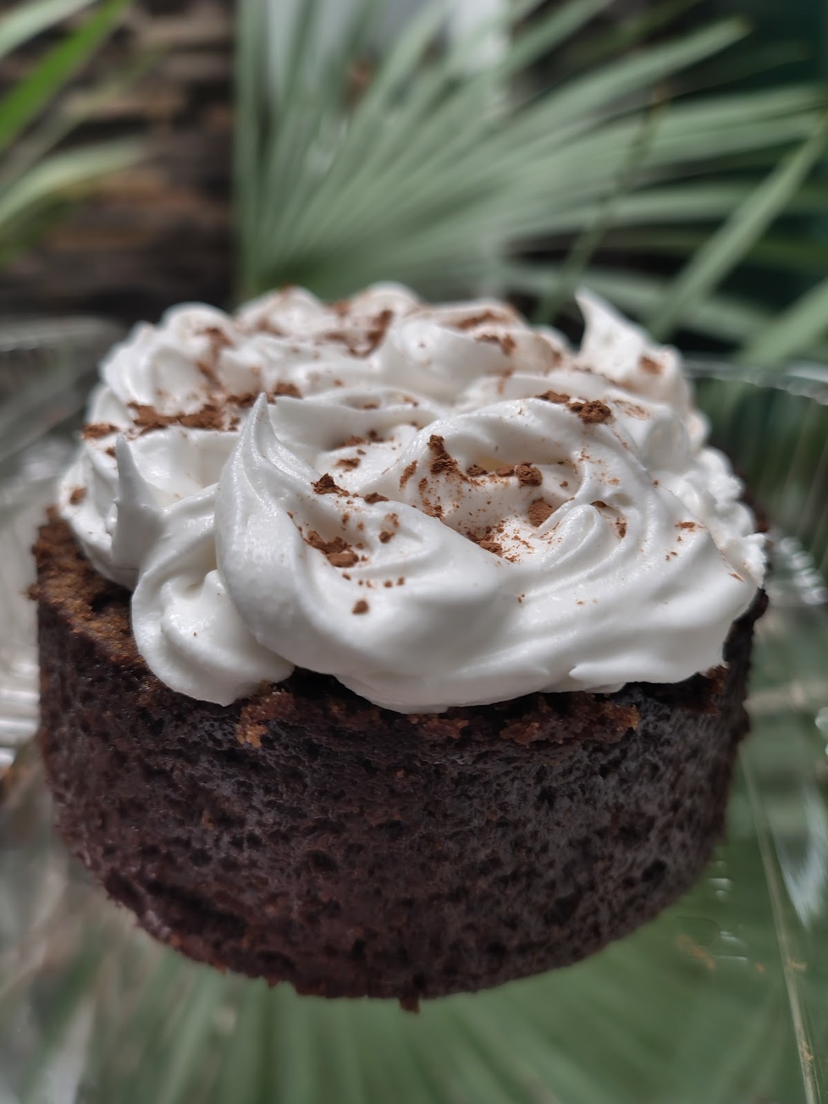 leetx-google-photo-53474-7 leetx-google-photo-53474-7