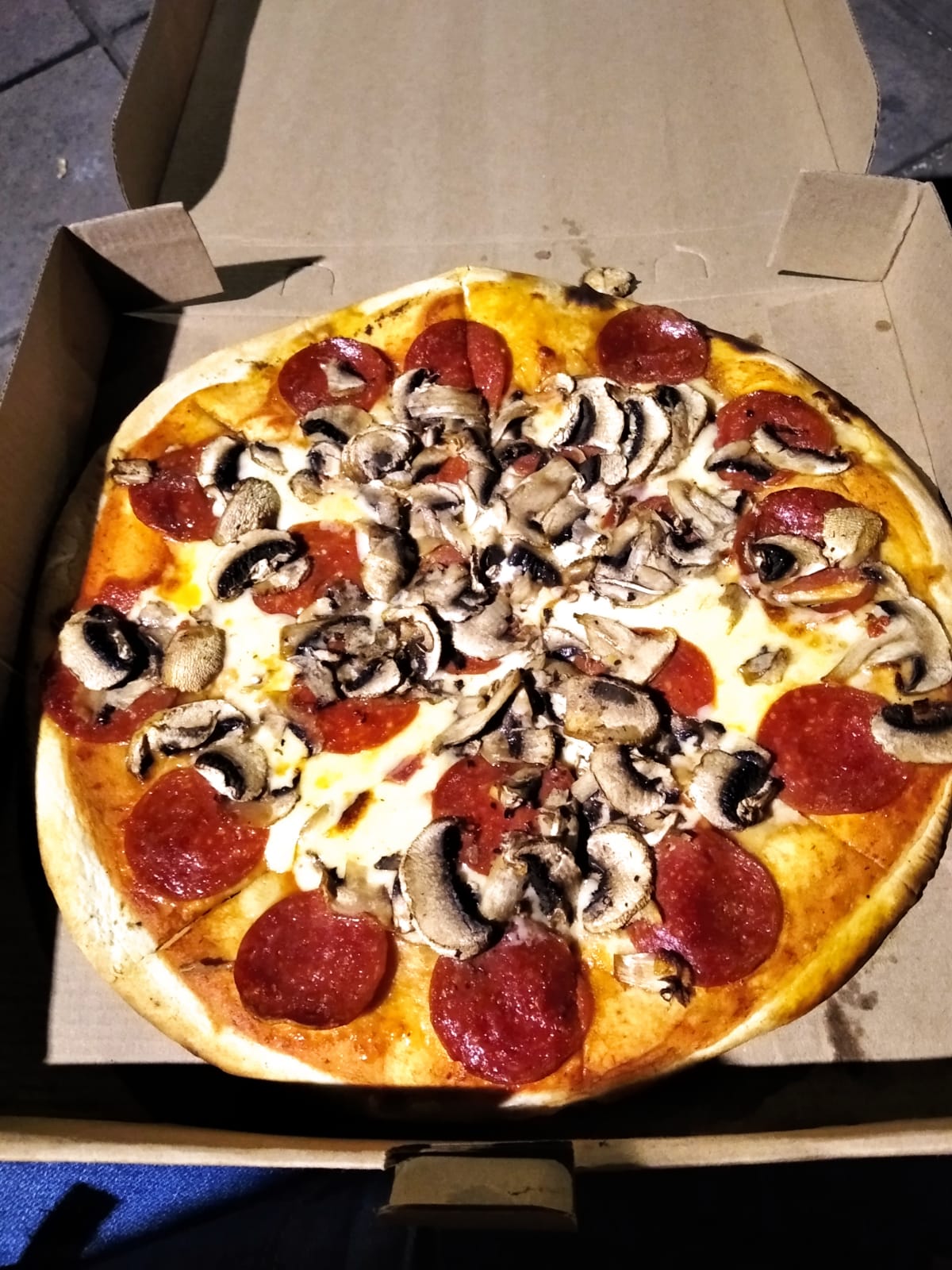 leetx-google-photo-53586-6 leetx-google-photo-53586-6