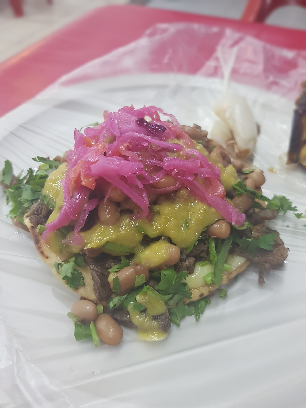 leetx-google-photo-54410-7 leetx-google-photo-54410-7