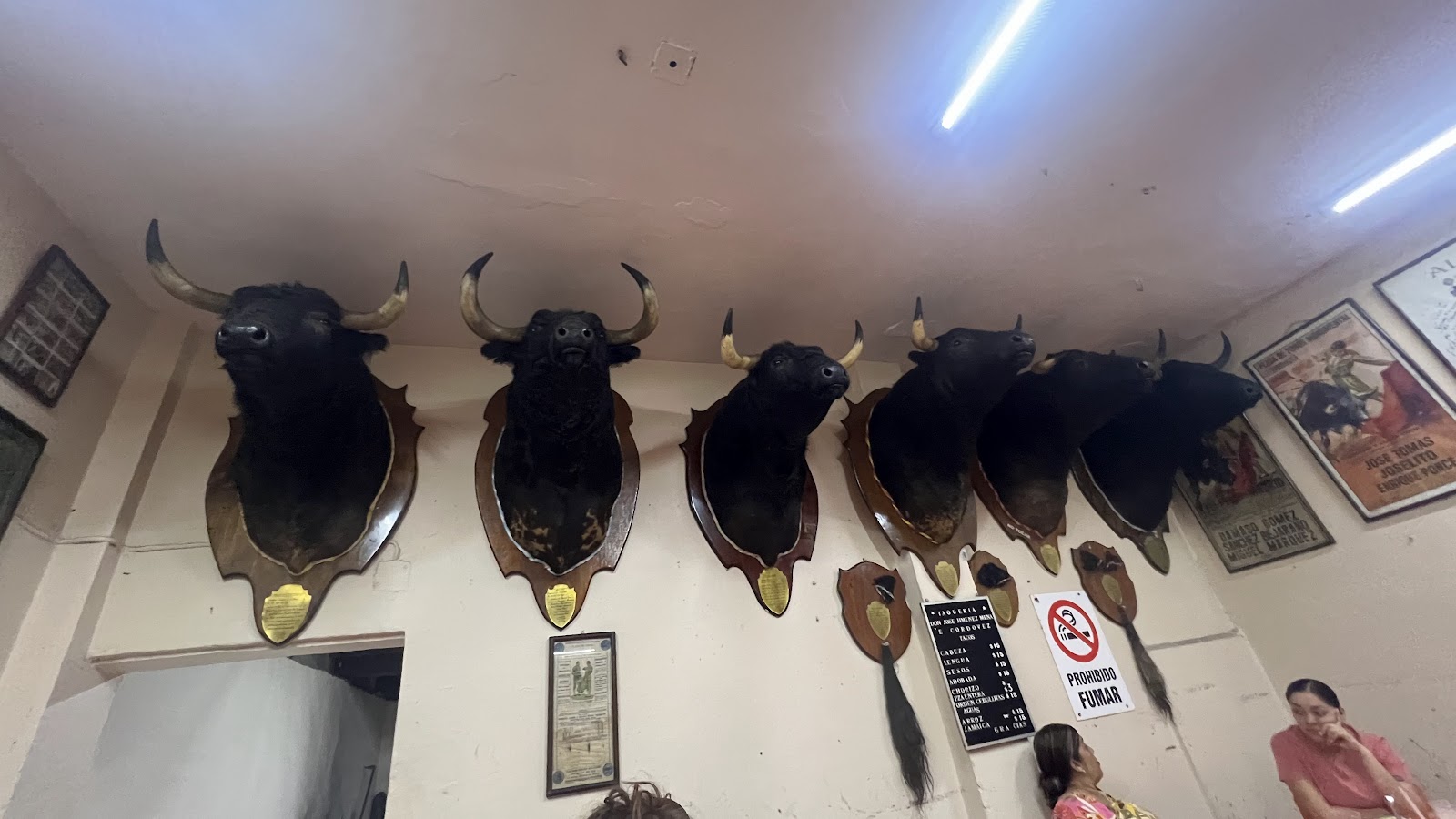 leetx-google-photo-54428-3 leetx-google-photo-54428-3