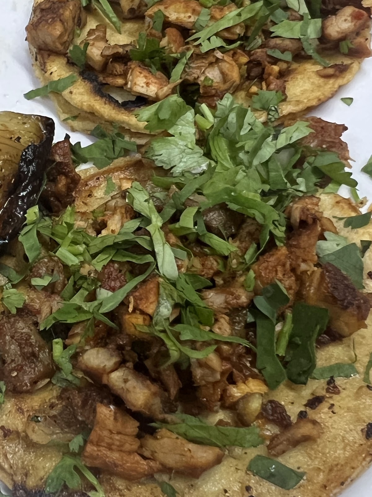 leetx-google-photo-54428-6 leetx-google-photo-54428-6