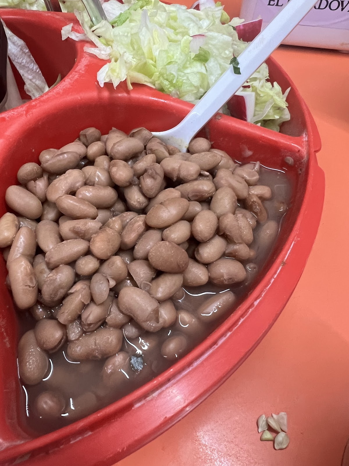 leetx-google-photo-54428-8 leetx-google-photo-54428-8