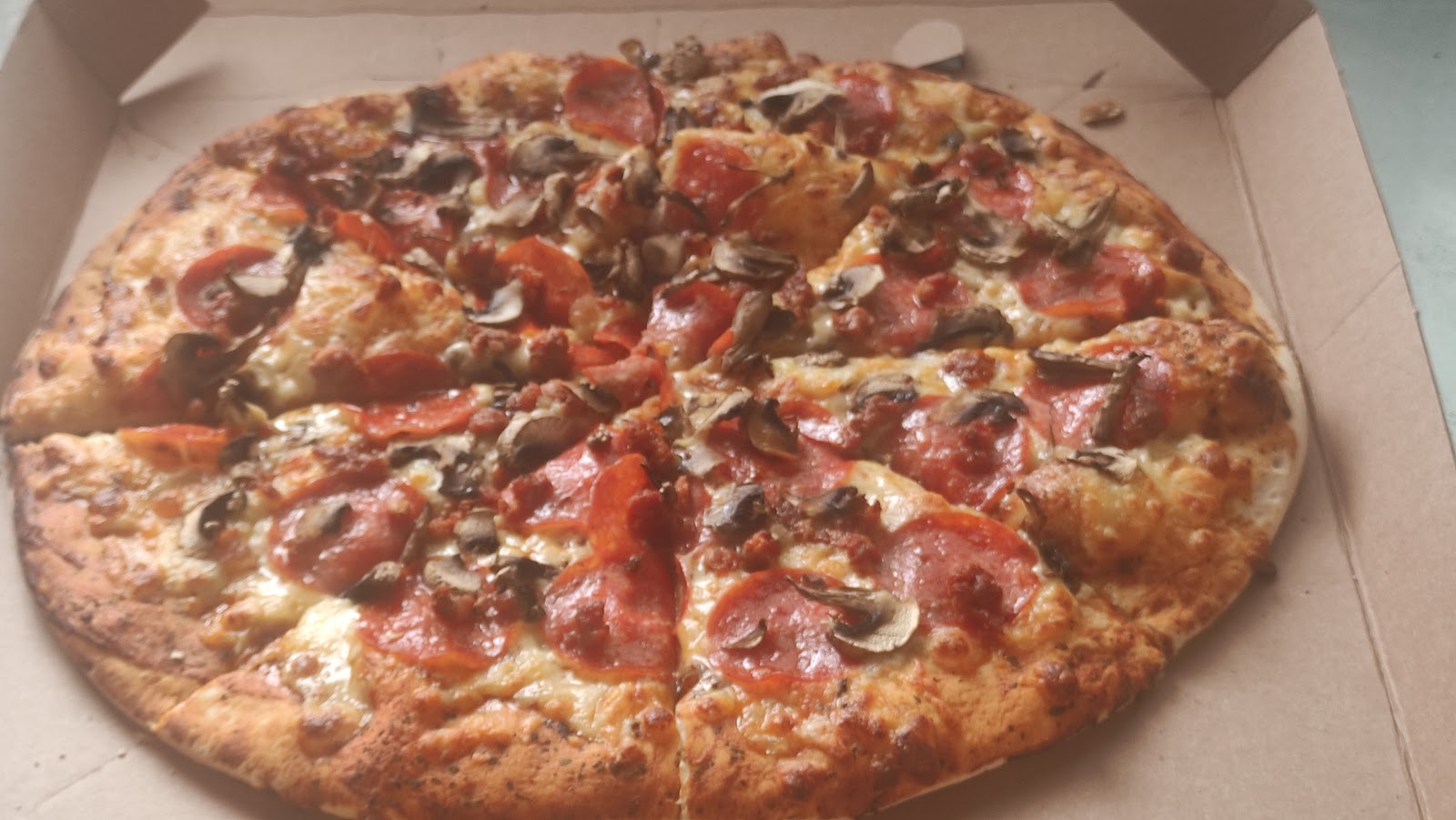 leetx-google-photo-54873-7 leetx-google-photo-54873-7