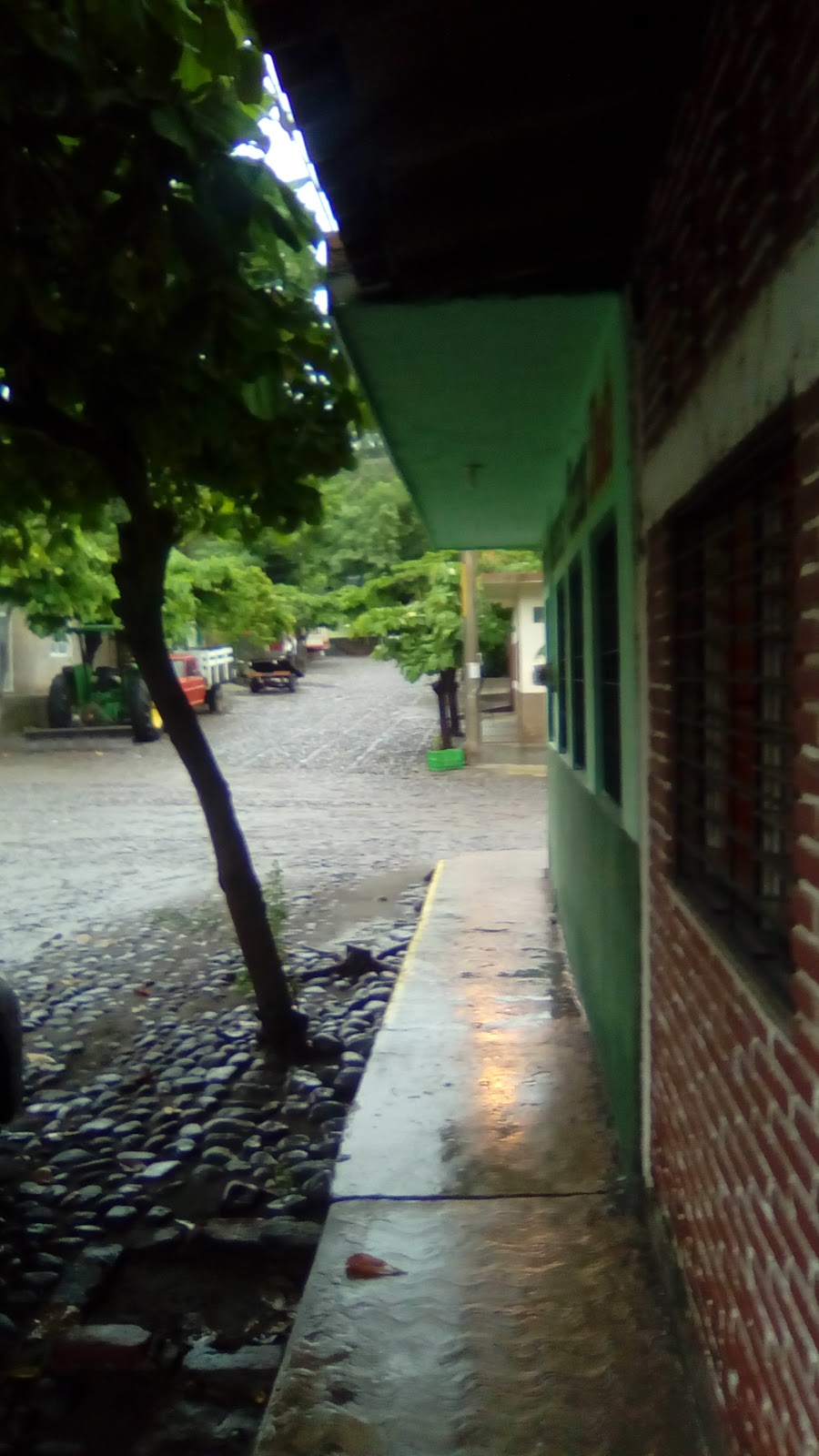 leetx-google-photo-54971-7 leetx-google-photo-54971-7