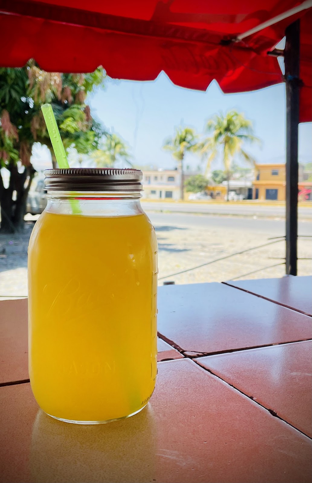 leetx-google-photo-55628-2 leetx-google-photo-55628-2