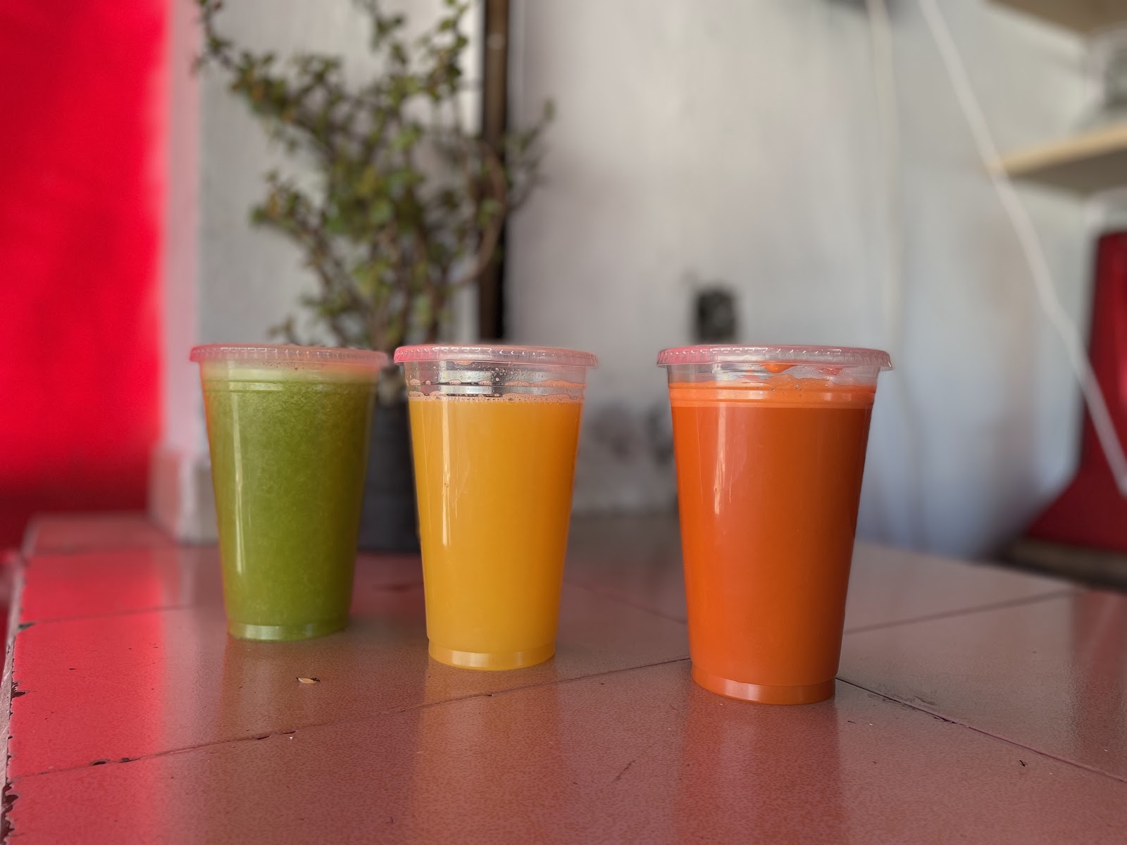 leetx-google-photo-55628-7 leetx-google-photo-55628-7