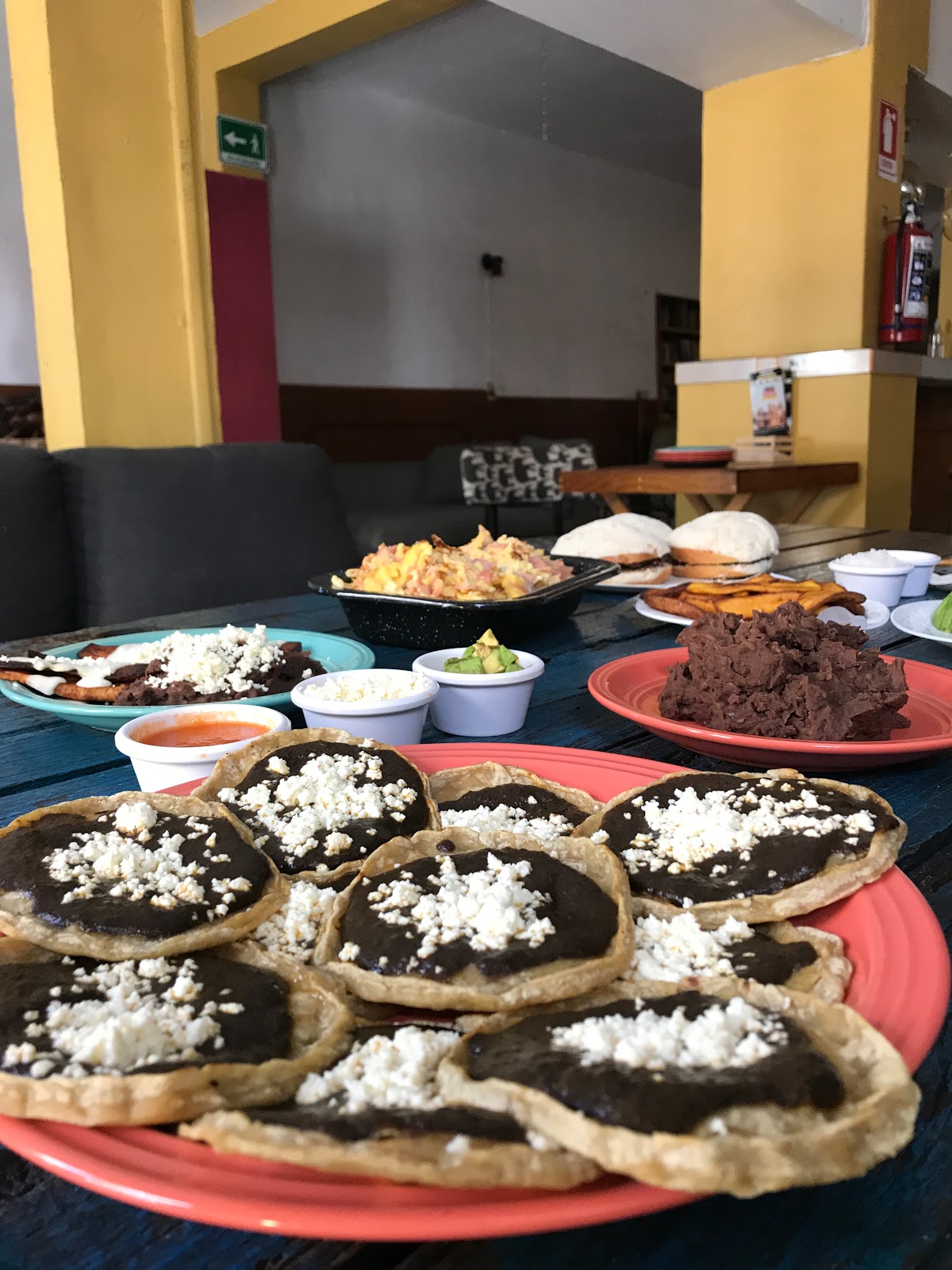 leetx-google-photo-56222-2 leetx-google-photo-56222-2