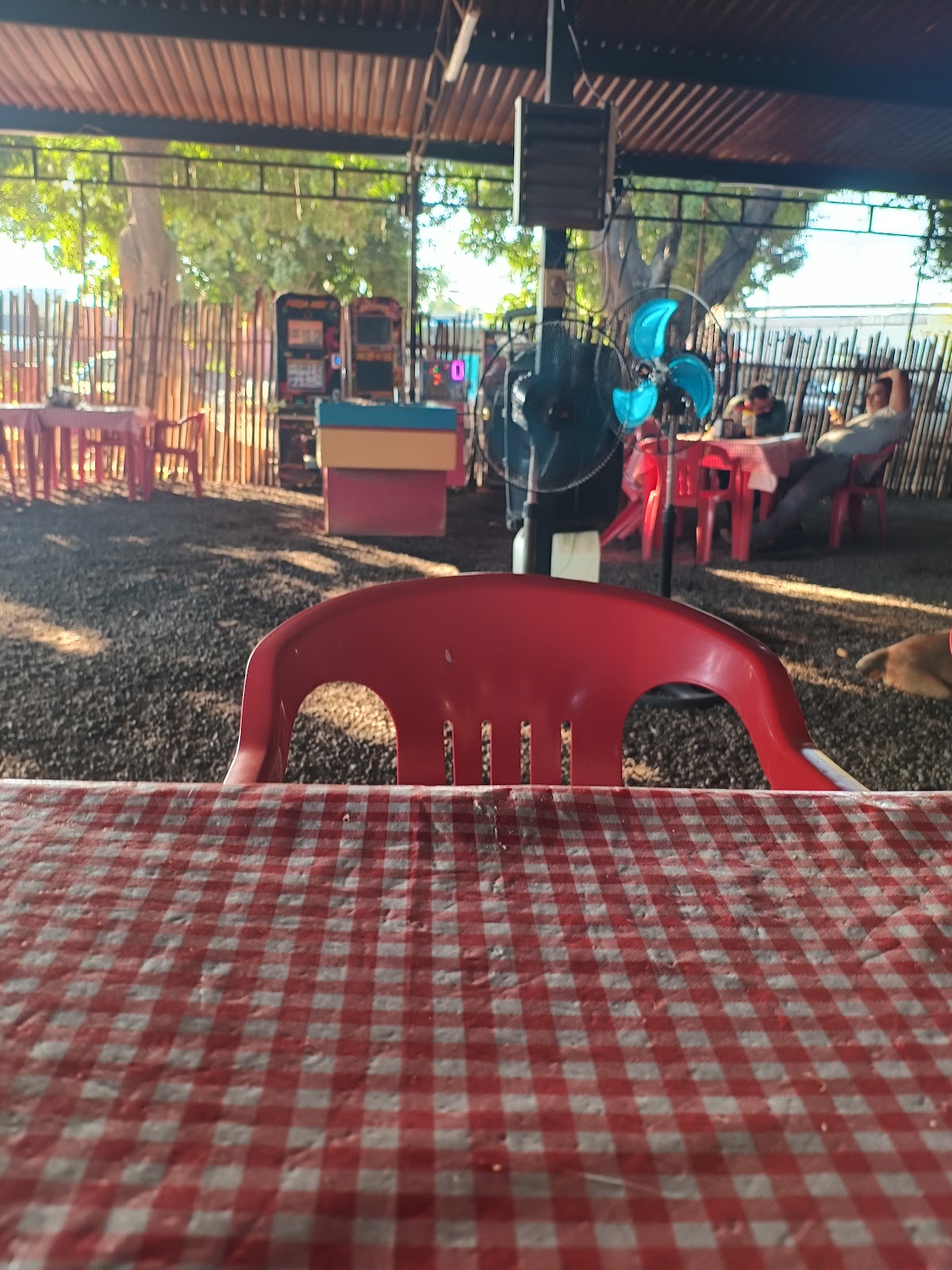 leetx-google-photo-56267-3 leetx-google-photo-56267-3