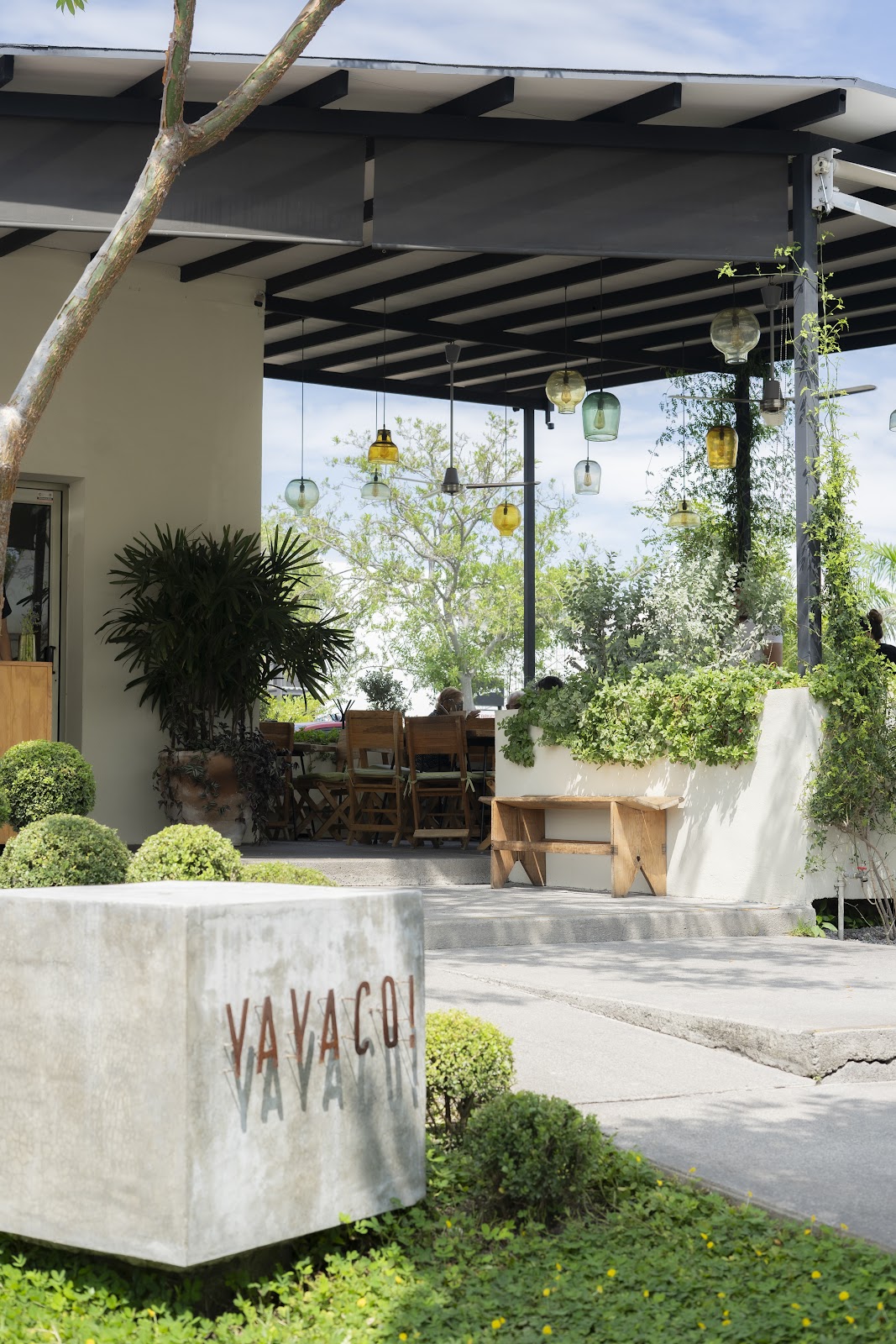 leetx-google-photo-56352-4 leetx-google-photo-56352-4