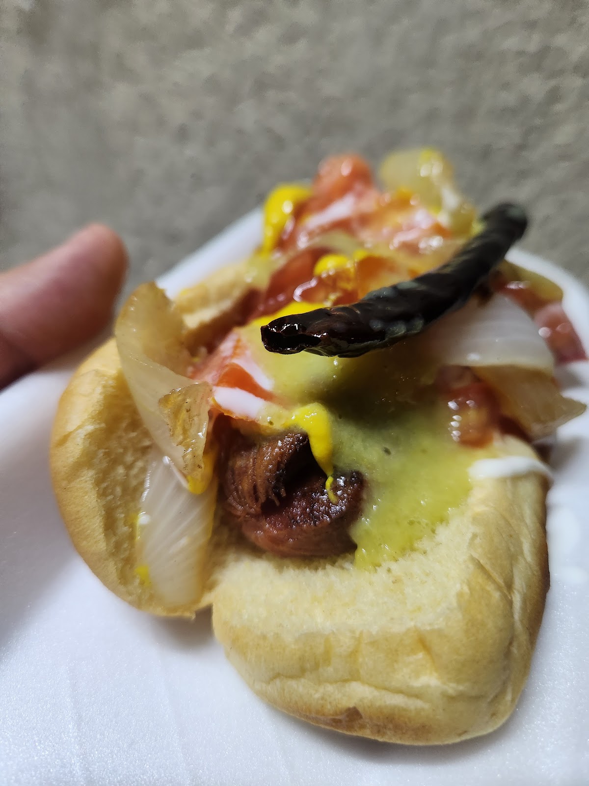 leetx-google-photo-56743-3 leetx-google-photo-56743-3