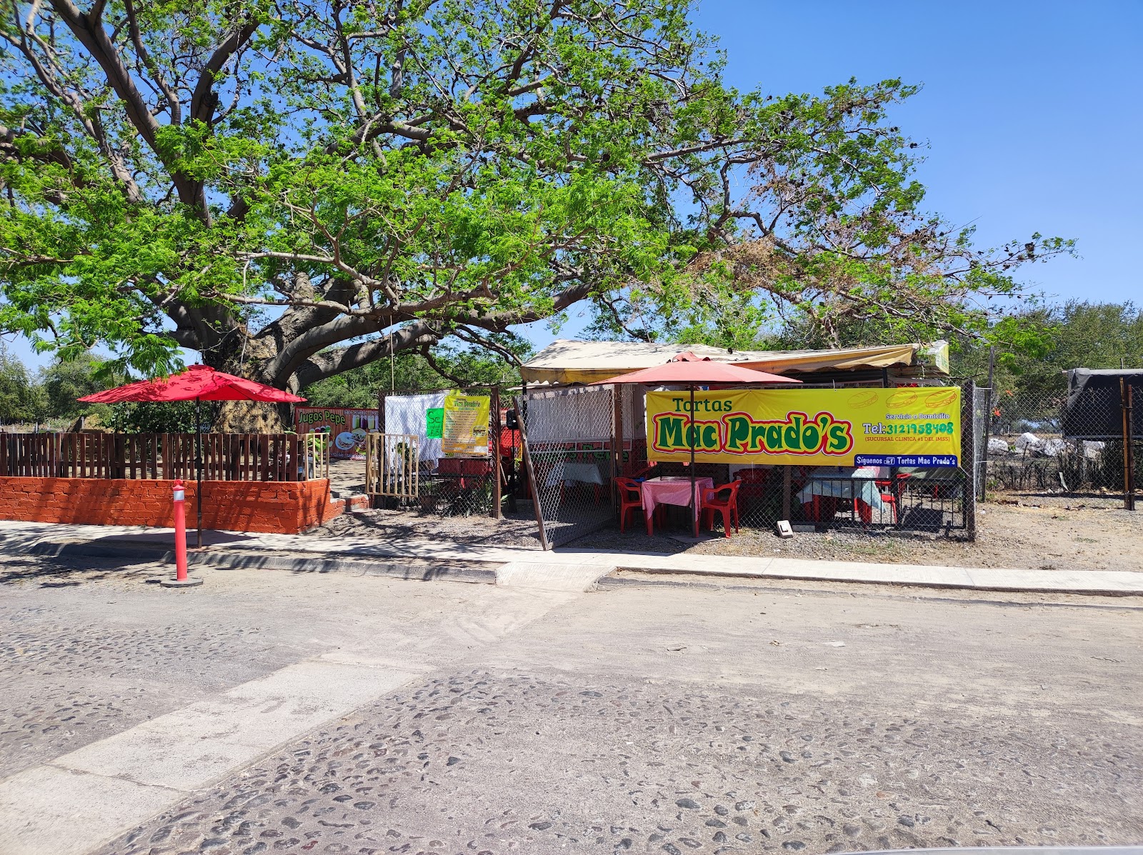 leetx-google-photo-56817-2 leetx-google-photo-56817-2