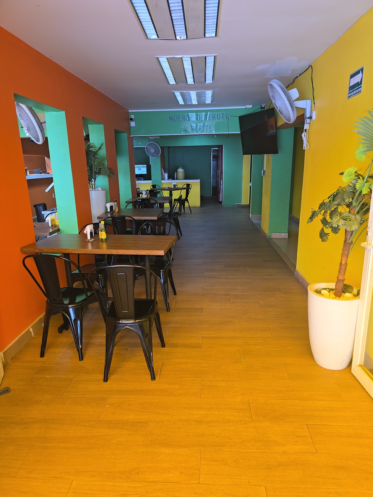 leetx-google-photo-56897-7 leetx-google-photo-56897-7