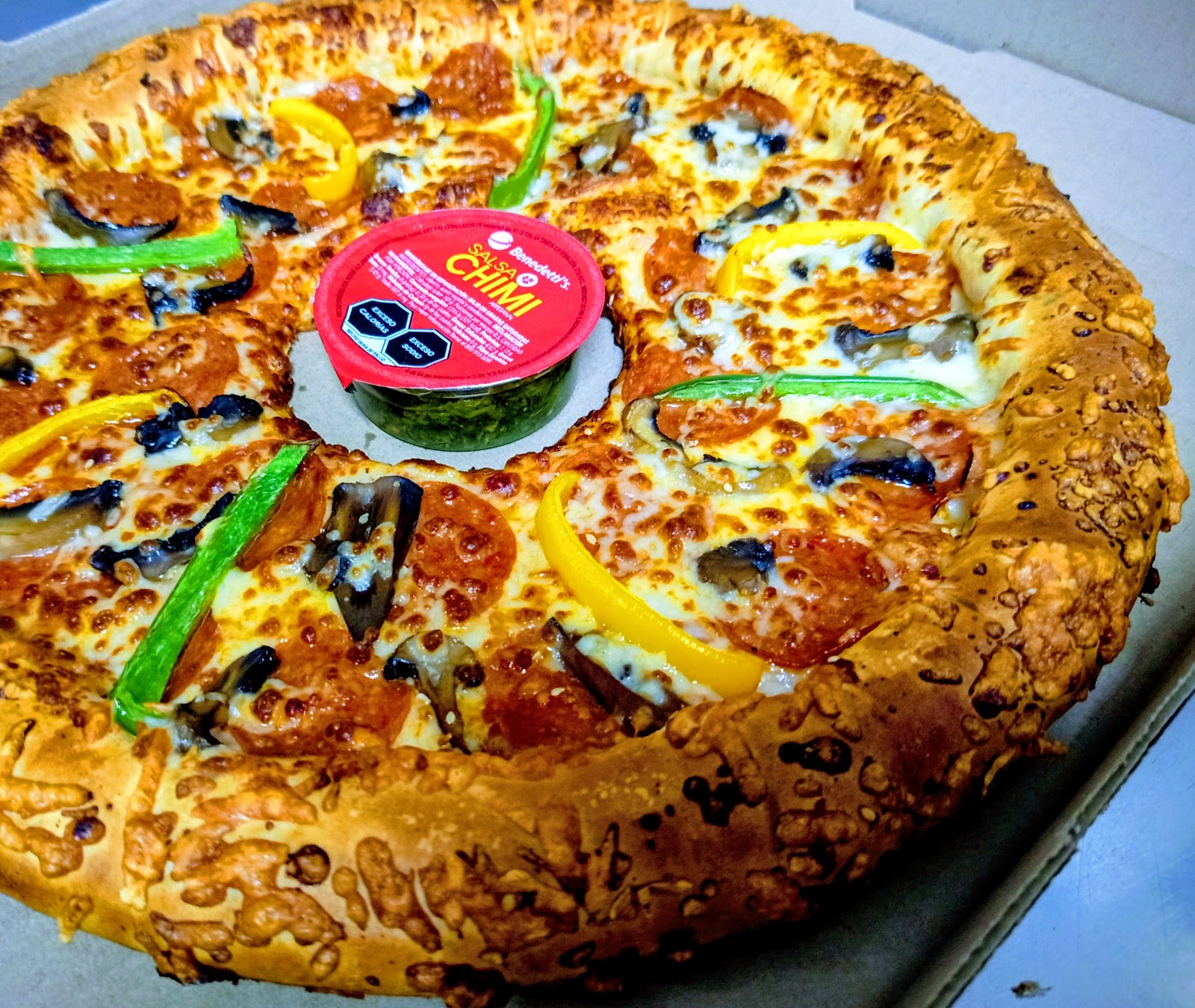 leetx-google-photo-56924-2 leetx-google-photo-56924-2