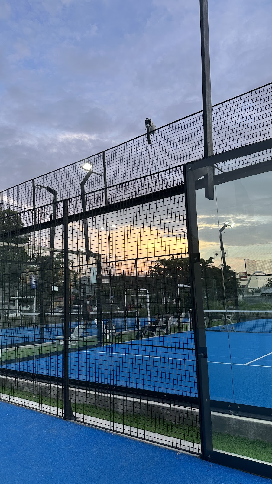 leetx-google-photo-56951-6 leetx-google-photo-56951-6