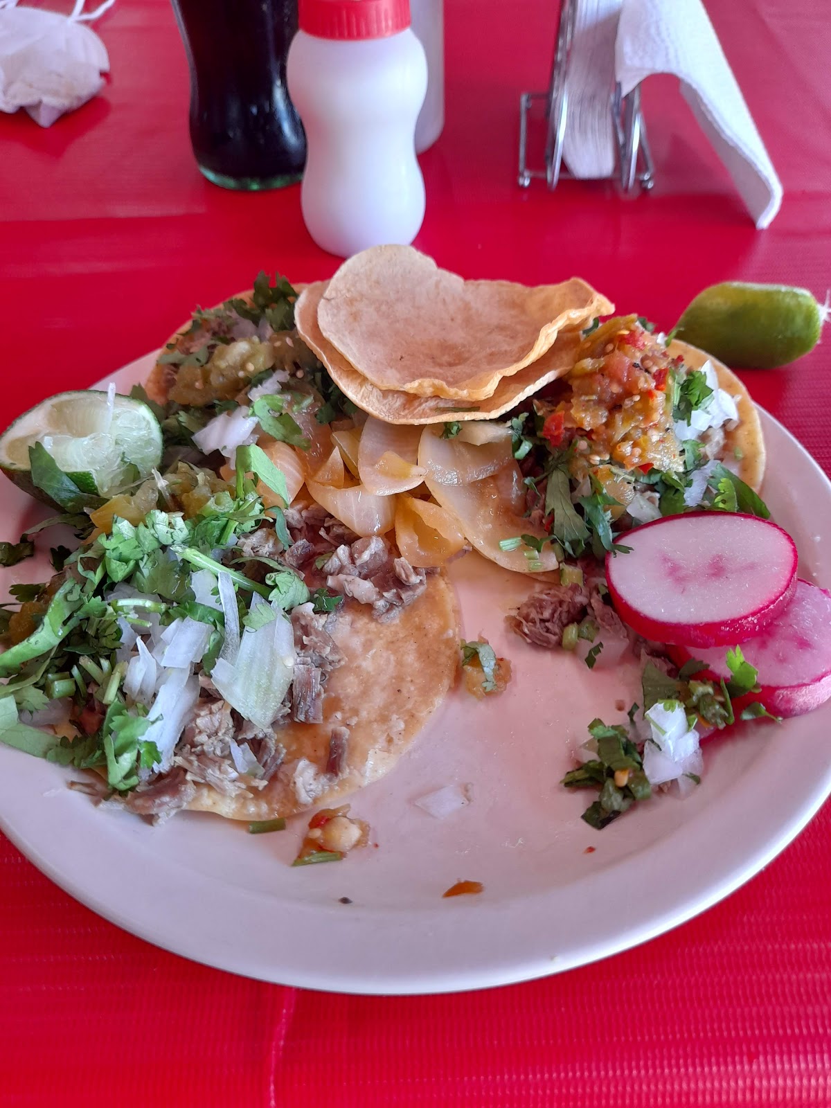 leetx-google-photo-57007-2 leetx-google-photo-57007-2