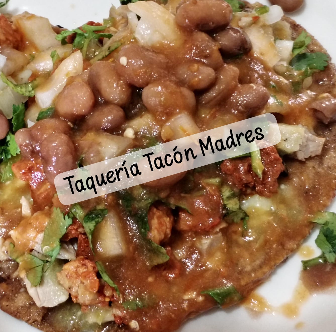 leetx-google-photo-57197-3 leetx-google-photo-57197-3